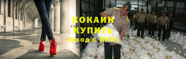 гидропоника Богородск