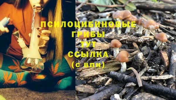 соль курить ск Богданович