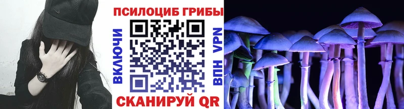 Галлюциногенные грибы Magic Shrooms  hydra tor  Бологое 